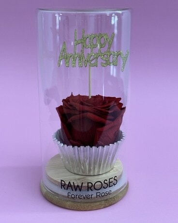Eternal Rose Anniversary